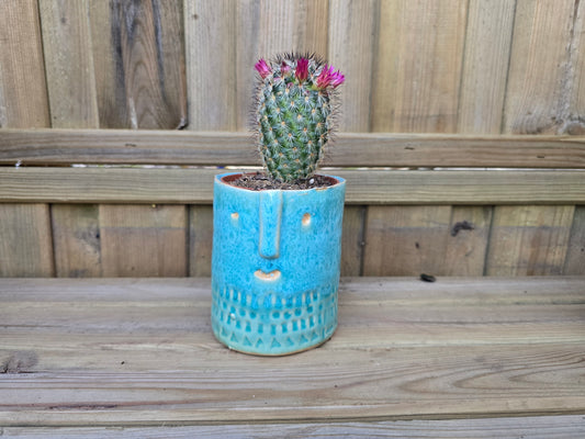 8.5cm Sea Blue Zamora Face Pot with Drop-In Cactus