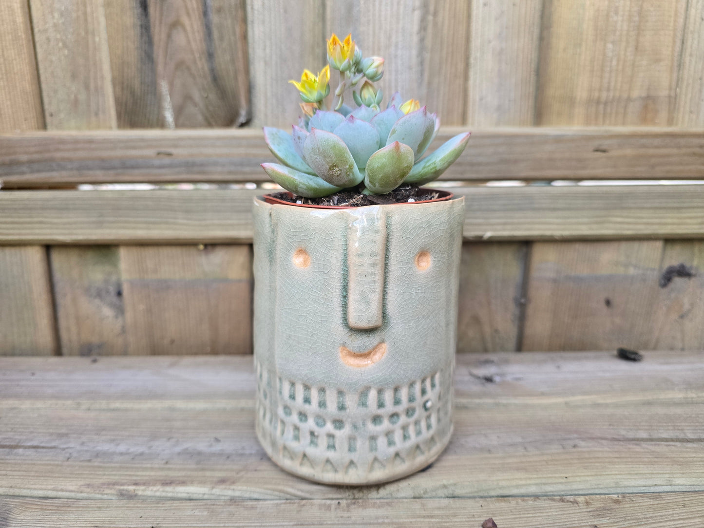 8.5cm Grey Zamora Face Pot with Drop-In Succulent