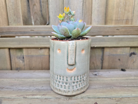 8.5cm Grey Zamora Face Pot with Drop-In Succulent