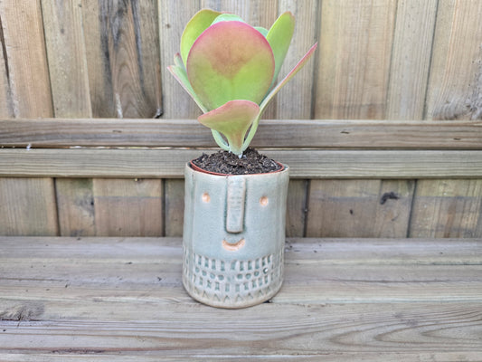8.5cm Grey Zamora Face Pot with Drop-In Succulent