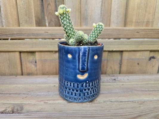 8.5cm Navy Blue Zamora Face Pot with Drop-In Cactus