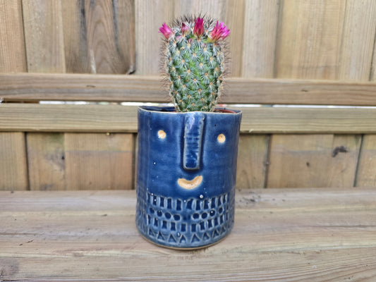 8.5cm Navy Blue Zamora Face Pot with Drop-In Cactus