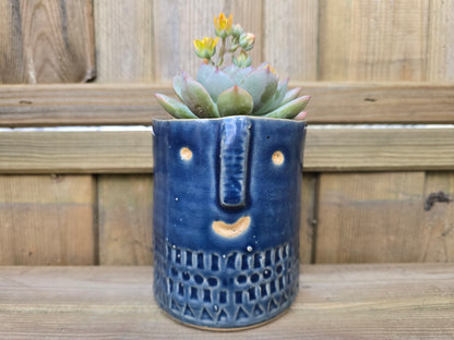 8.5cm Navy Blue Zamora Face Pot with Drop-In Succulent
