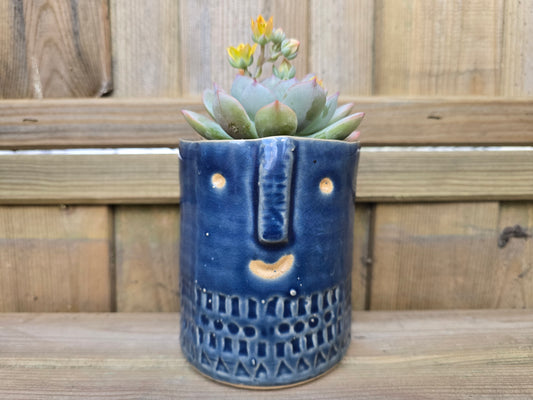 8.5cm Navy Blue Zamora Face Pot with Drop-In Succulent
