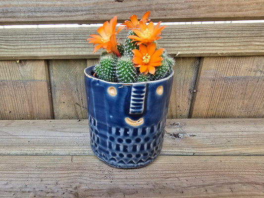 5.5cm Zamora Navy Blue with Drop-in Cactus