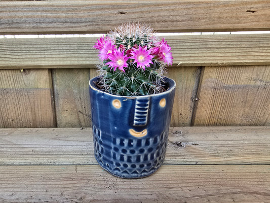 5.5cm Zamora Navy Blue with Drop-in Cactus