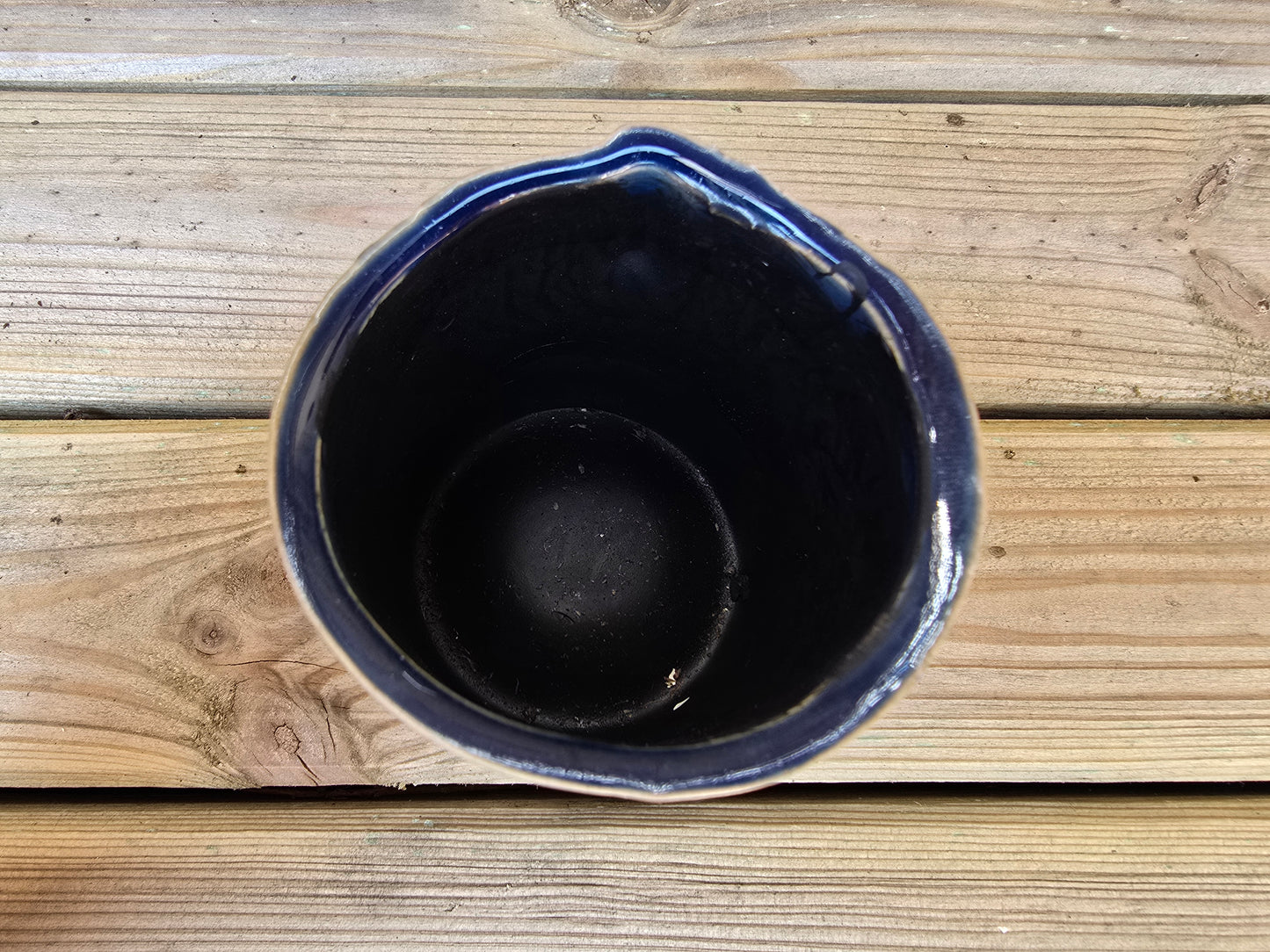 5.5cm Zamora Navy Blue with Drop-in Cactus