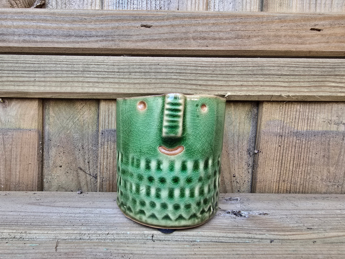 5.5cm Zamora Green with Drop-in Cactus