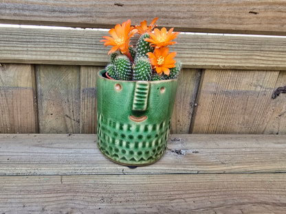5.5cm Zamora Green with Drop-in Cactus