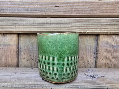 5.5cm Zamora Green with Drop-in Cactus