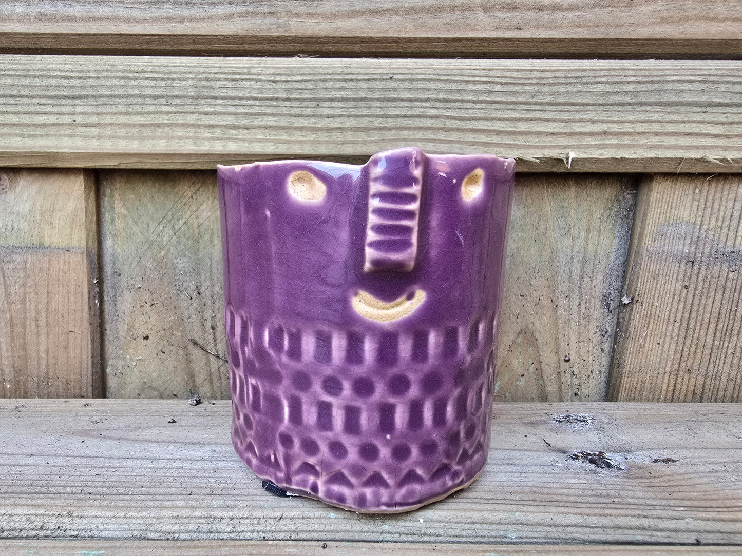 5.5cm Zamora Purple with Drop-in Cactus