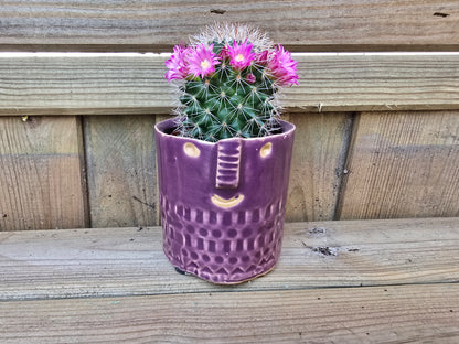5.5cm Zamora Purple with Drop-in Cactus