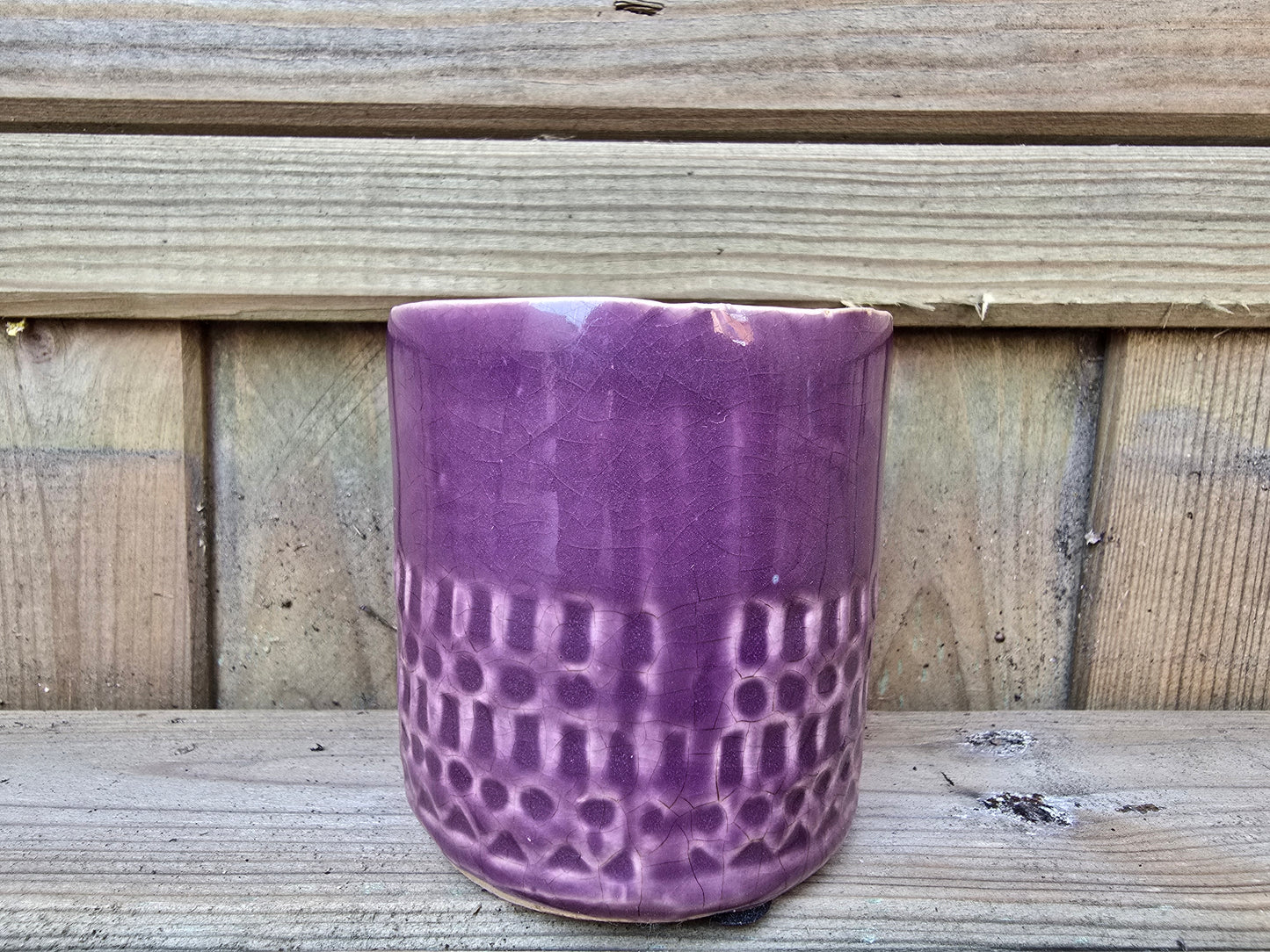 5.5cm Zamora Purple with Drop-in Cactus