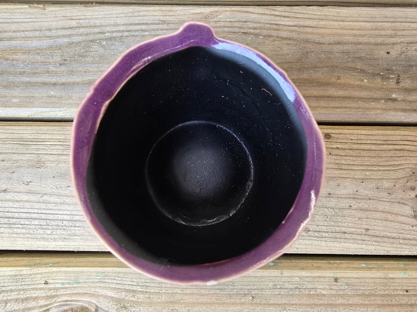 5.5cm Zamora Purple with Drop-in Cactus