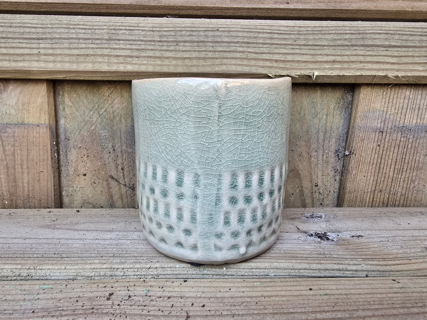 5.5cm Zamora Grey with Drop-in Succulent