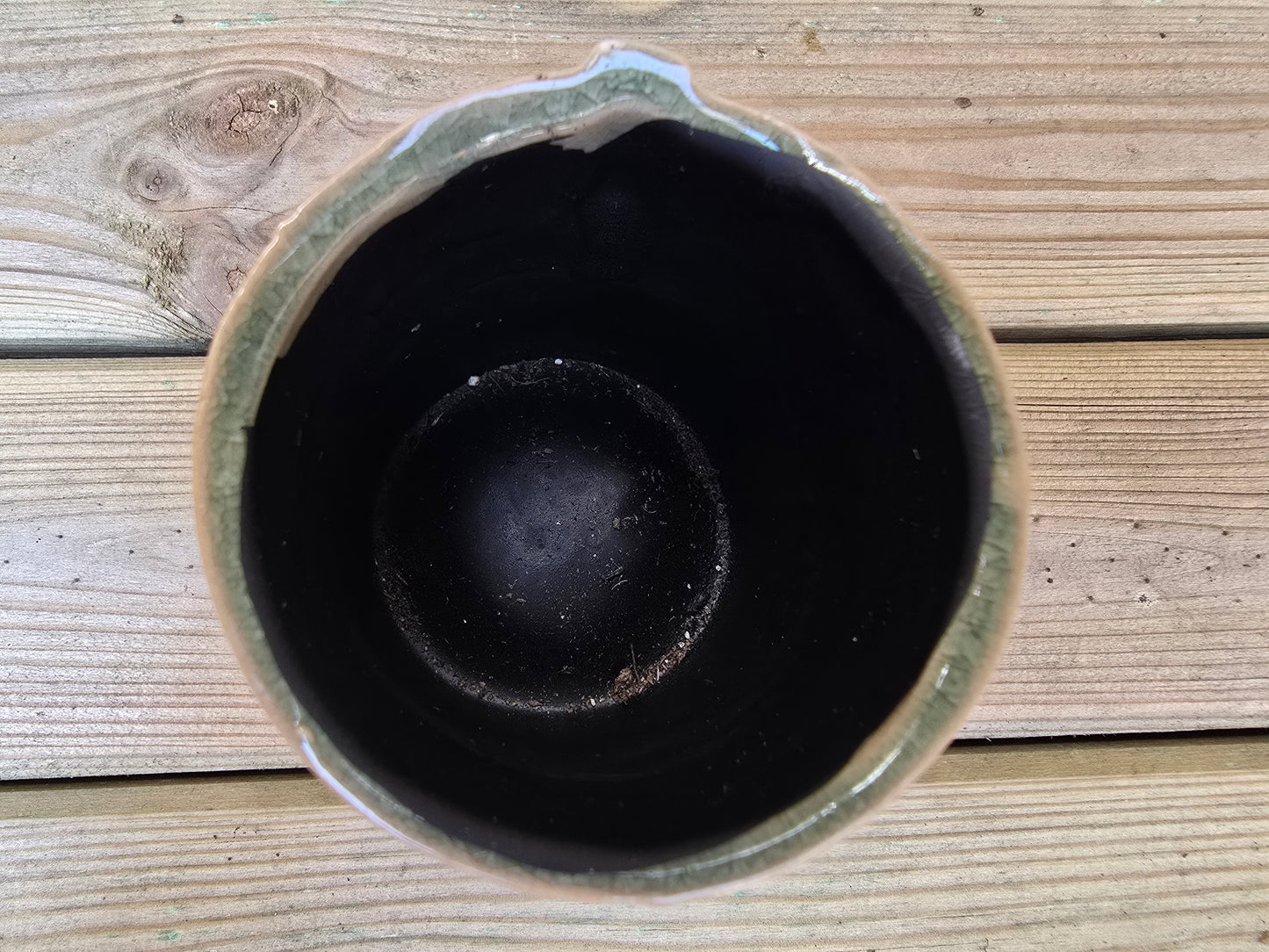 5.5cm Zamora Grey with Drop-in Succulent