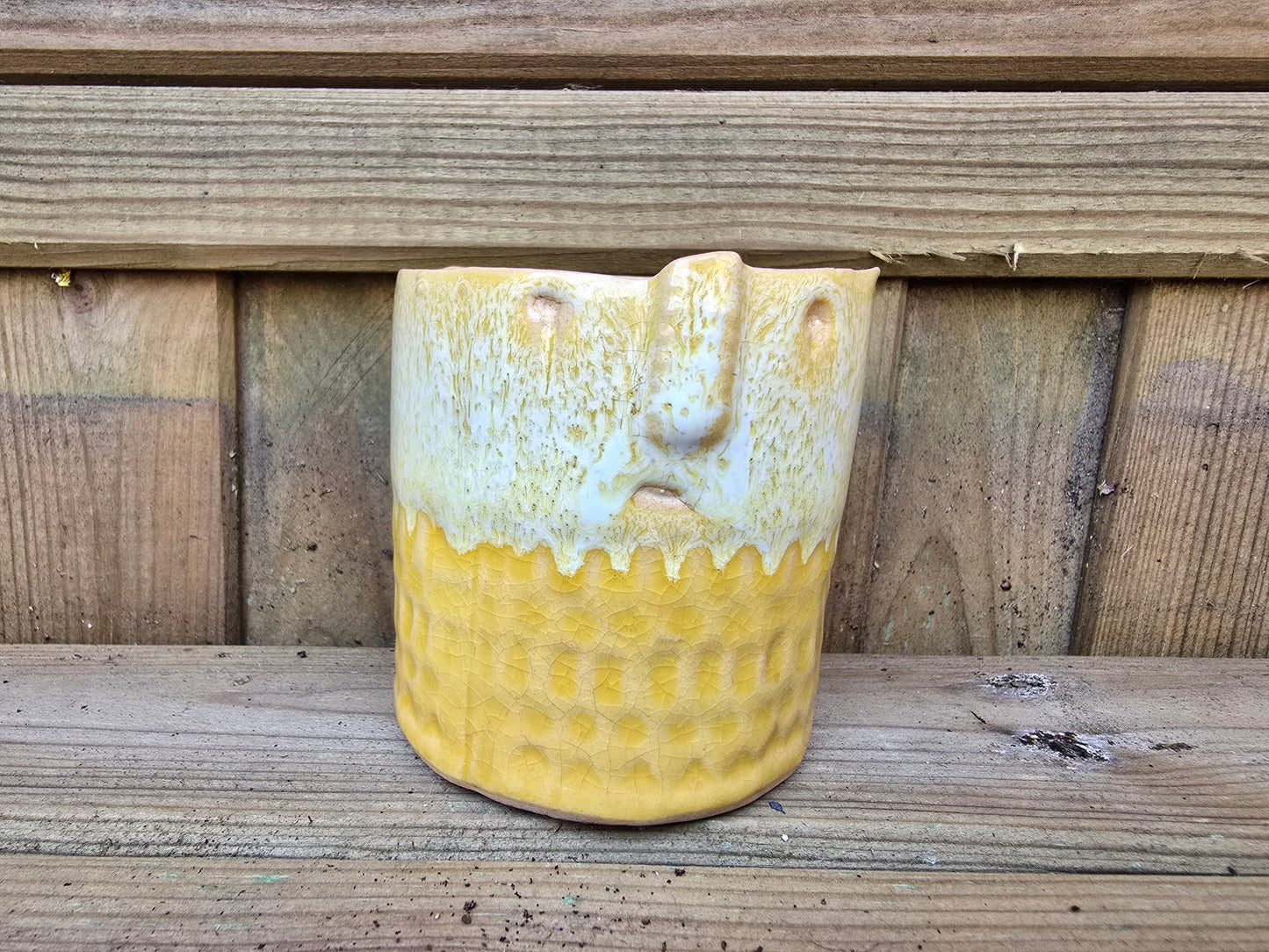 5.5cm Zamora Yellow with Drop-in Cactus