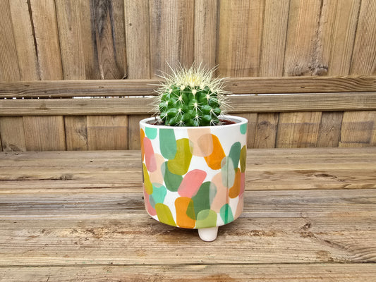 8.5cm "Broad Strokes" Art Attack Pot