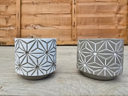 5.5cm Star Pot Collection