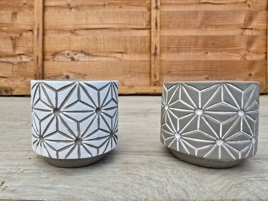 5.5cm Star Pot Collection