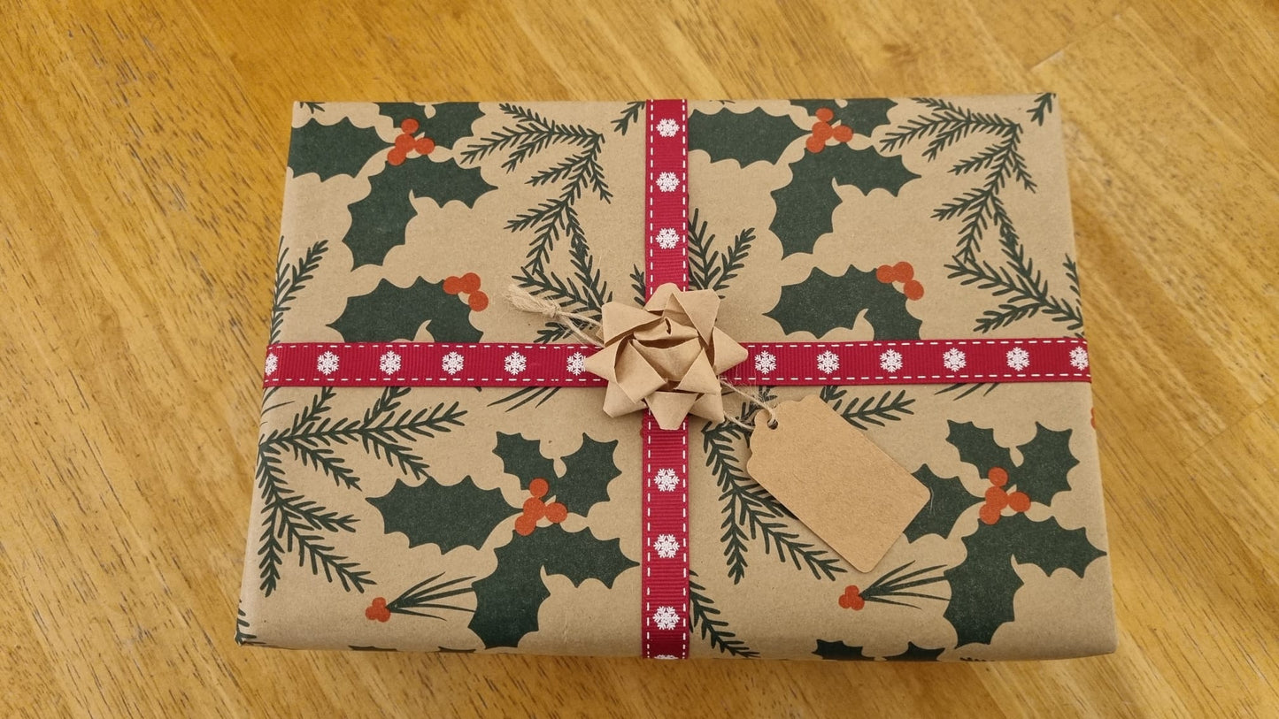 DIY Cactus Kit - Winter Woolly Cactus