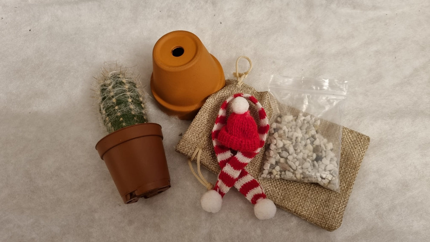 DIY Cactus Kit - Winter Woolly Cactus